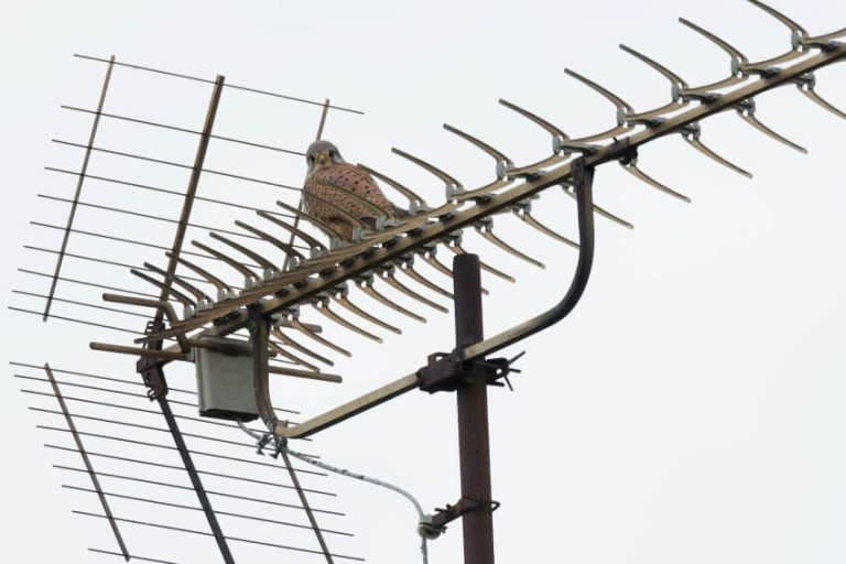 Master the Art of Outdoor TV Antenna Installation: Tips, Tricks and ...